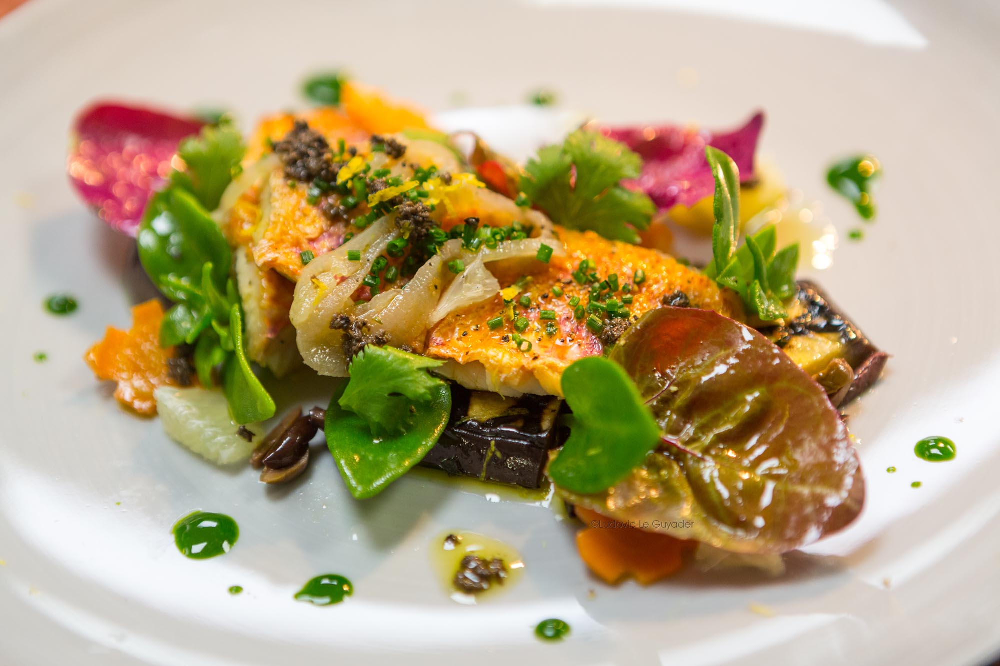 Présentation d'un plat